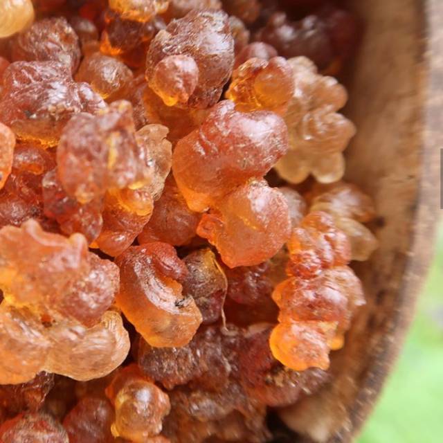 

Organic Peach Gum 500Gr