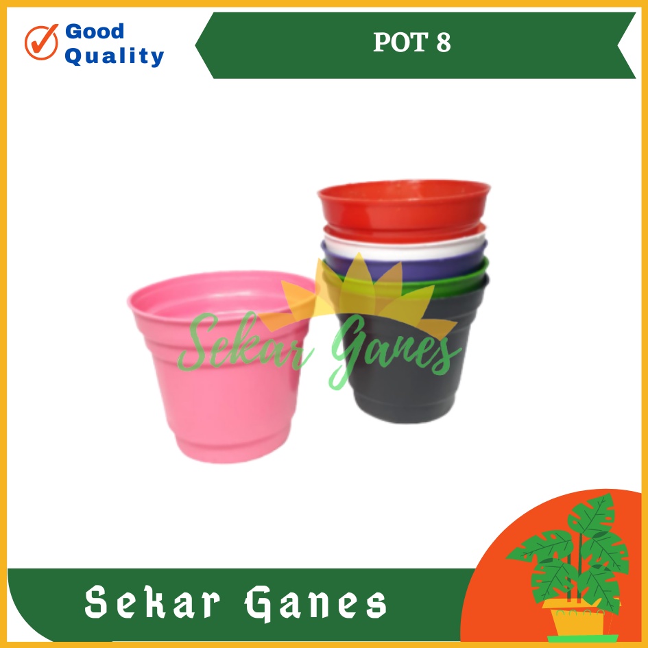 POT GOL 8 CM PELANGI KECIL KAKTUS | Ice cream Pot Tanpa Lubang 8 cm Pot Hidroponik Pot Es Krim 8cm.