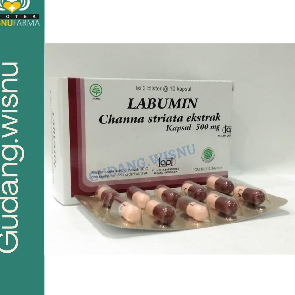 [PRODUK 0IJVM] LABUMIN 10 KAPSUL EKSTRAK IKAN GABUS JZQ
