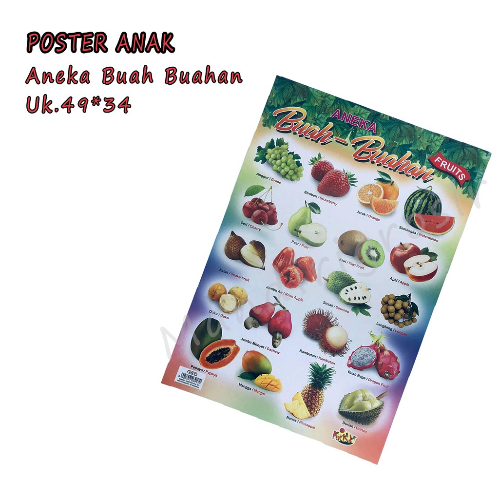 Kiky * Poster * belajar * anak * aneka * gambar * 34*49