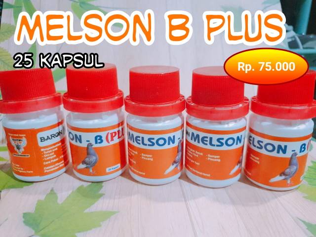 Melson B baron isi 25 tablet