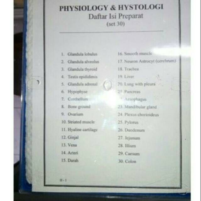 Preparat Histologi dan Physiology 30 Macam
