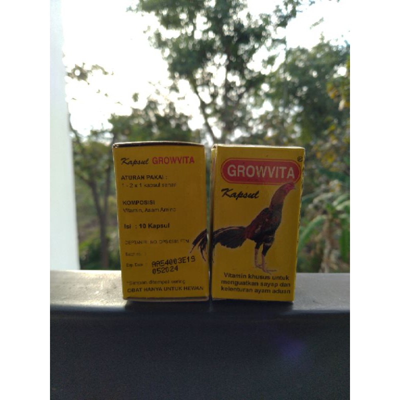 GROWVITA Vitamin khusus untuk menguatkan sayap dan kelenturan ayam jago #GROWVITA #VitaminAyamJago #