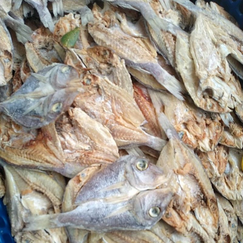 

ikankering ikan batu