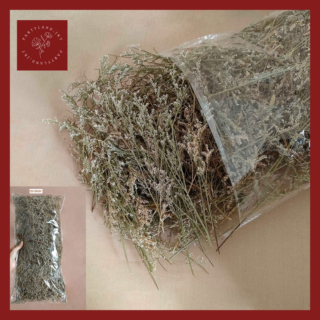 250g DIY Mini Caspea Lovergrass Bunga Kering Asli Hias Dekorasi Buket Pajangan