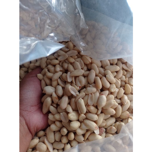 

Kacang Tanah Kupas /Kacang Bali Mentah Ukuran Besar
