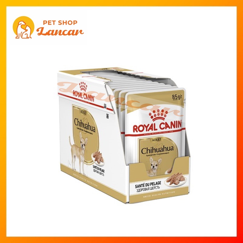 Royal Canin Chihuahua Adult Makanan Anjing Dewasa Wet 85gr