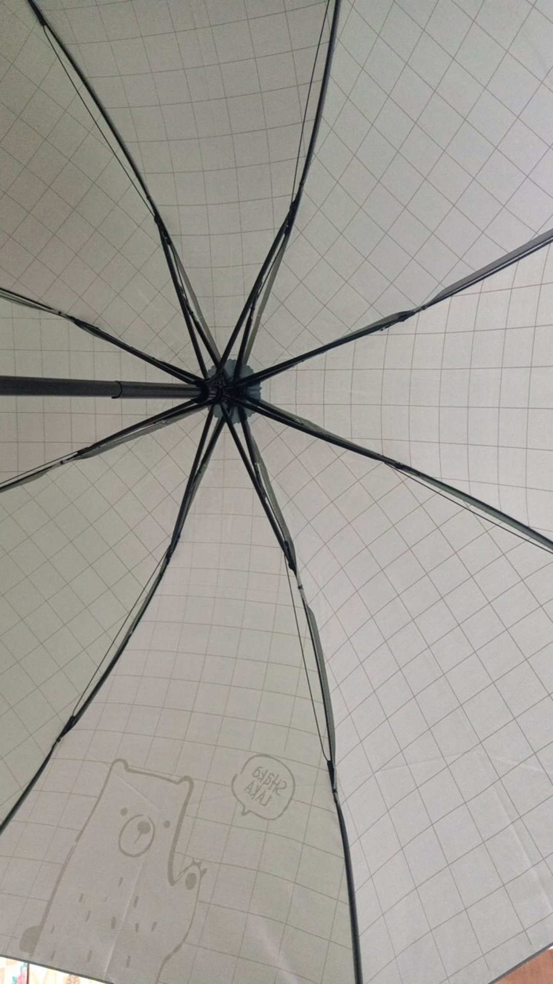 Tabasa Payung Lipat Papa Bear Tl 114