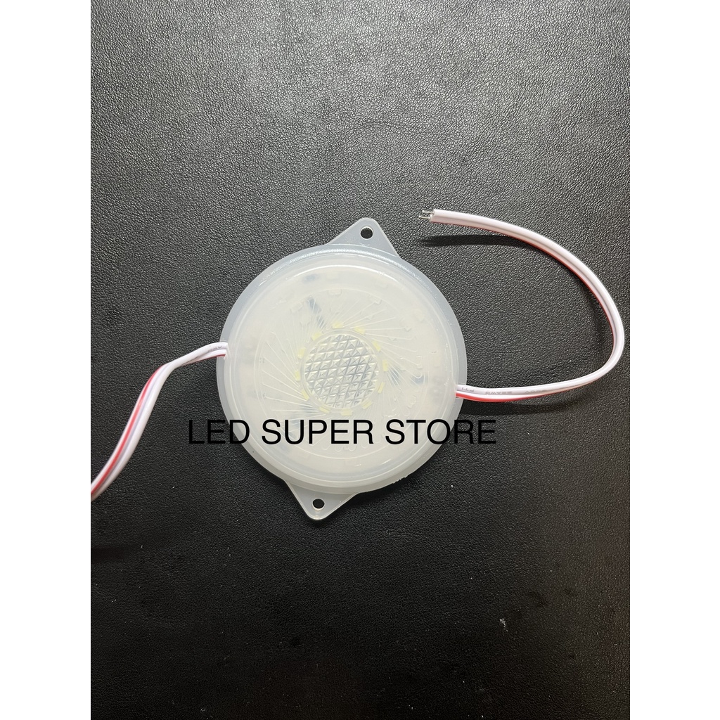 LED Variasi Kembang Api 6cm | Fireworks light 烟花灯 12v | 24v