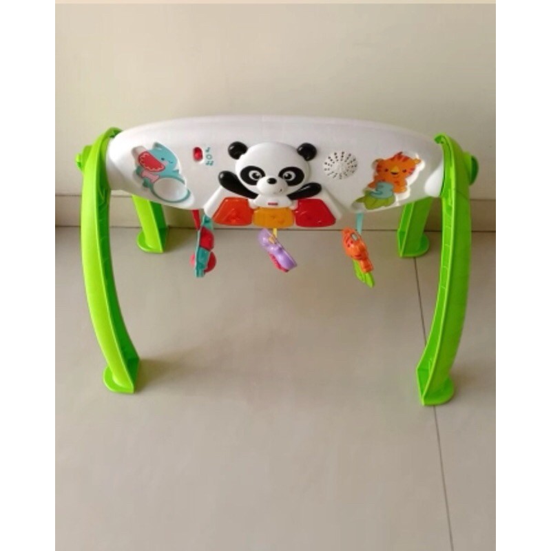 fisher price baby gym