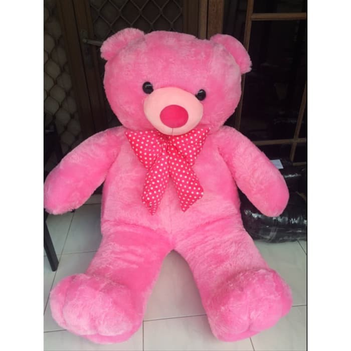 teddy bear jumbo pink
