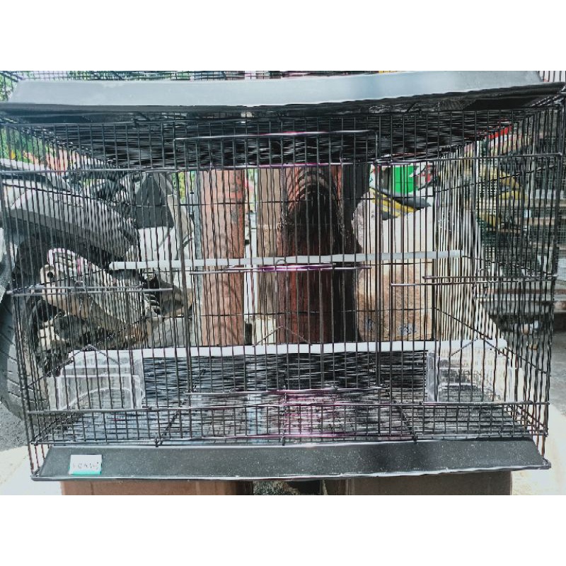 Kandang Kotak Besi 40x40x60 Merek Panda