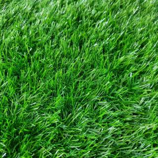 Rumput sintetis Swiss Jepang ukuran 40cmx40cm Shopee Rumput sintetis Swiss Jepang ukuran 40cmx40cm Shopee