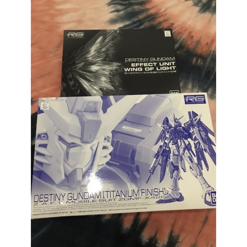 RG GUNDAM DESTINY TITANIUM FINISH