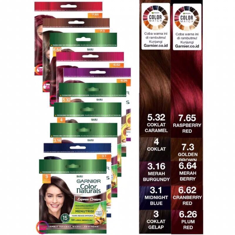 Garnier Color Naturals Sachet 20ml+20g