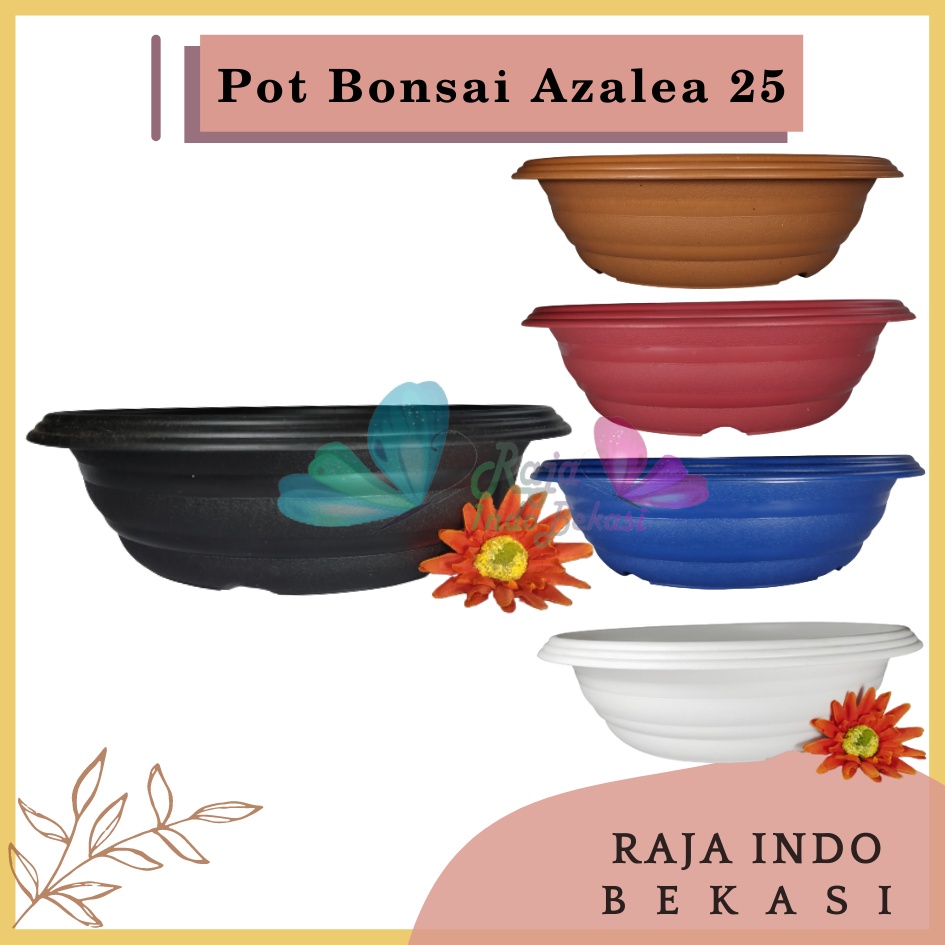 Pot Bonsai Azalea 25 Cm Putih Hitam Biru Merah Bata Pot Bonsai Tawon Ceper Plastik Utk Bonsai Kelapa