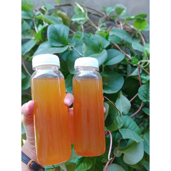 

Madu Hutan Asli Cianjur 250ml