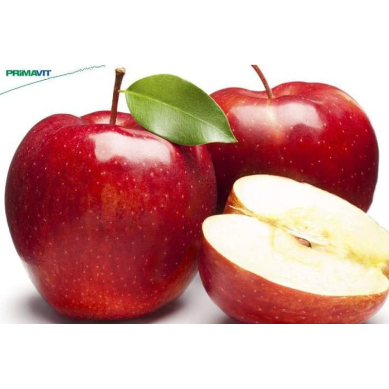 Bibit apel Washington/apel merah