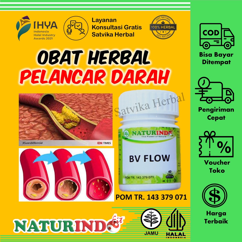 Jual Obat Pelancar Peredaran Darah Penyumbatan Pembuluh Darah Otak