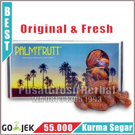 

Kurma Palm Frutt Tangkai Tunisia palmfrutt palmfruit fruit asi booster