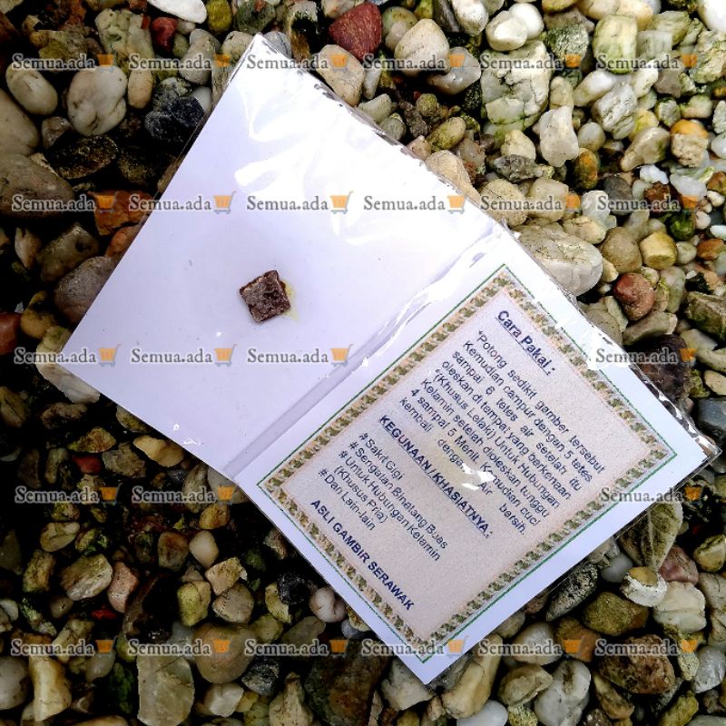 herbal gambir serawak padat asli murah tahan lama