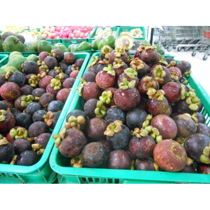 

Manggis Ganda Segar dan Sehat per 1 kg Rp. 30.000