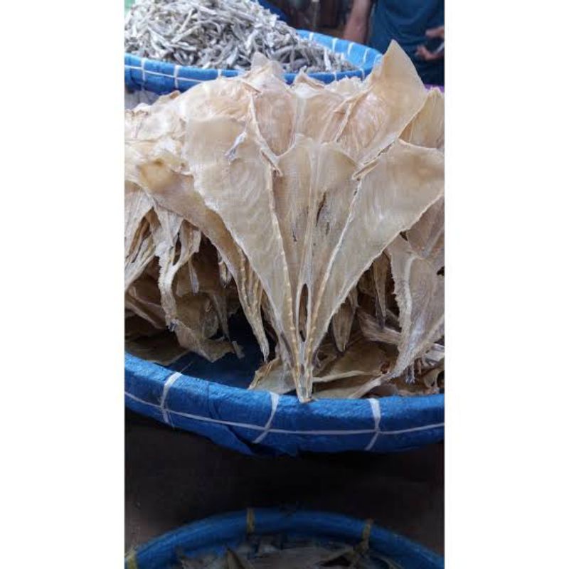 

BSM | TERMURAH Ikan Asin Pari Tipis Asli Medan / Ikan Pari Tipis 250gr - 1kg | Sayur online