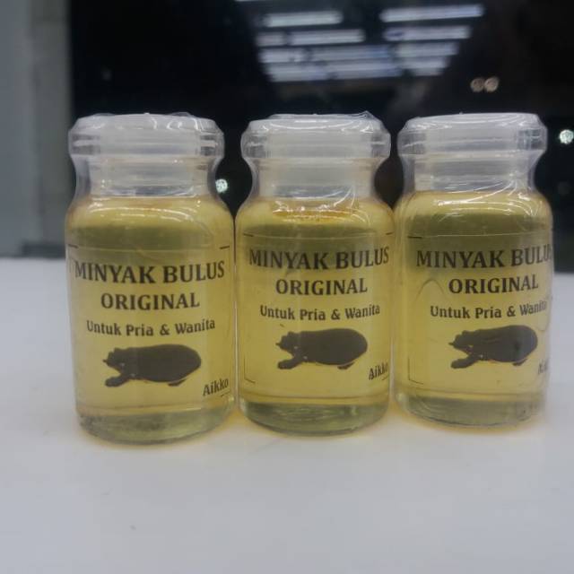 Minyak Bulus Original 8ml 3botol Minyak Bulus Asli Minyak Bulus Papua Pembesar Payudara Shopee Indonesia