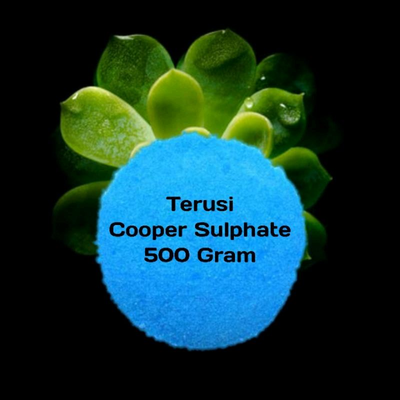 Tembaga sulfat / terusi / Cooper sulfate (CuSO4)