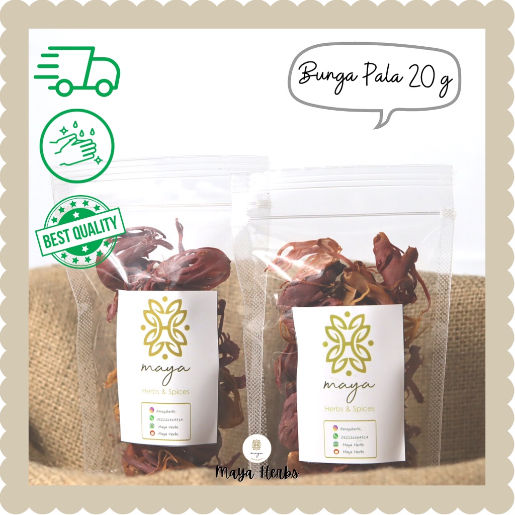 

Bunga Pala Kering 20 gram /Kembang Pala/Fuli/Mace (Myristica Fragrans)