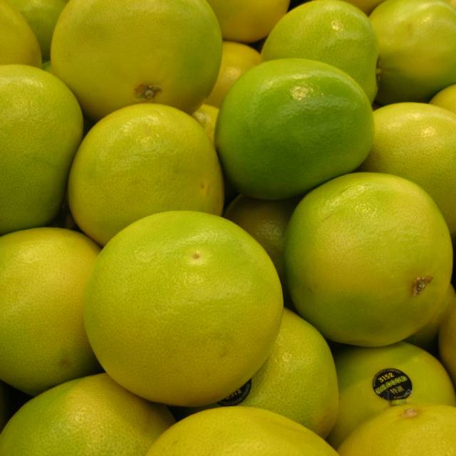 

- CSM - JERUK LEMON " Fresh