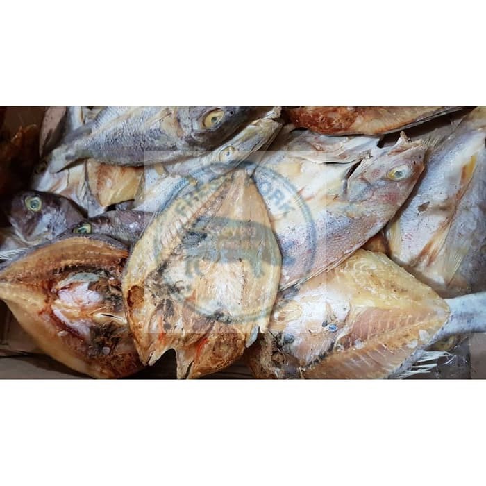 

IKAN ASIN IKAN KAKAP 500GRAM - DRIED SALTY SNAPPER FISH