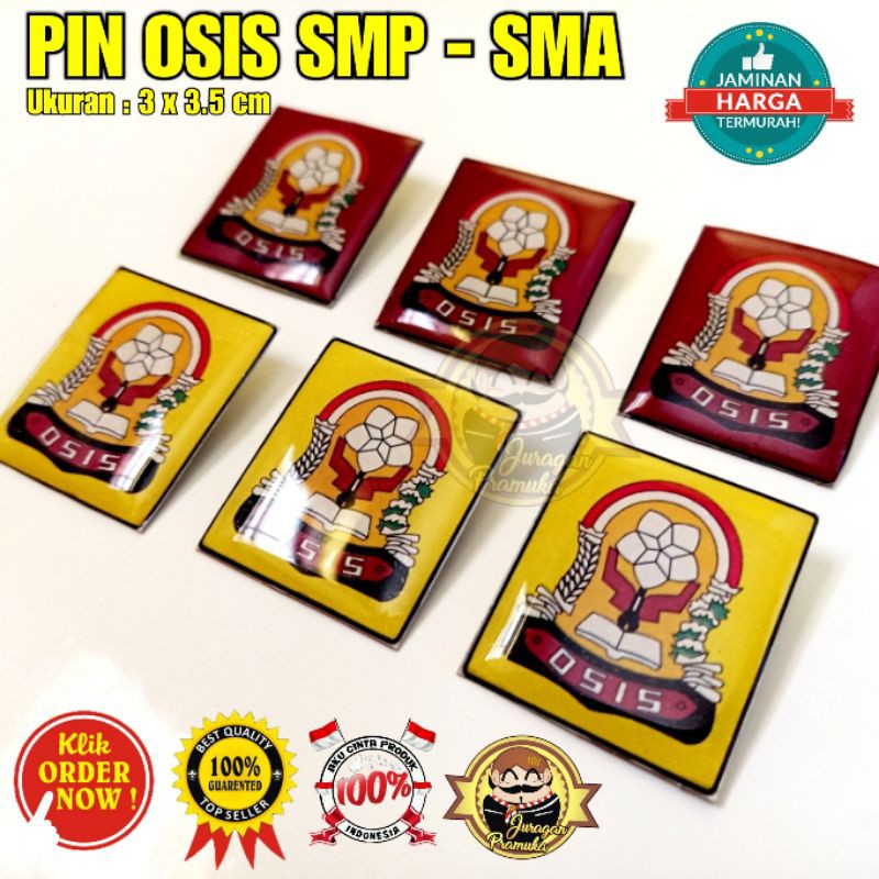 PIN OSIS SMP SMA