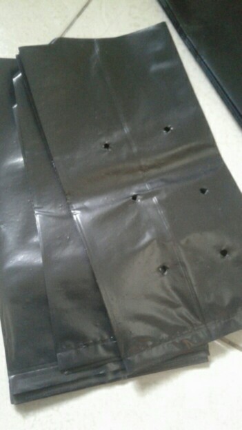 Polibag 25 X 25 Cm 20 Lembar Tebal Kuat