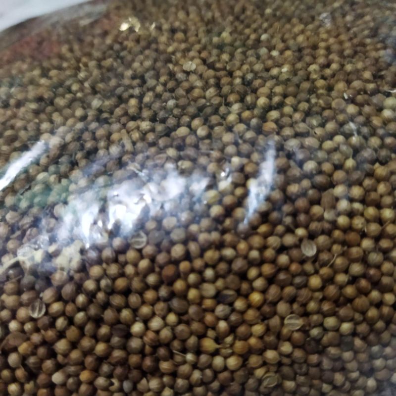 Ketumbar Hitam Asli-Ketumbar Hitam 100gram