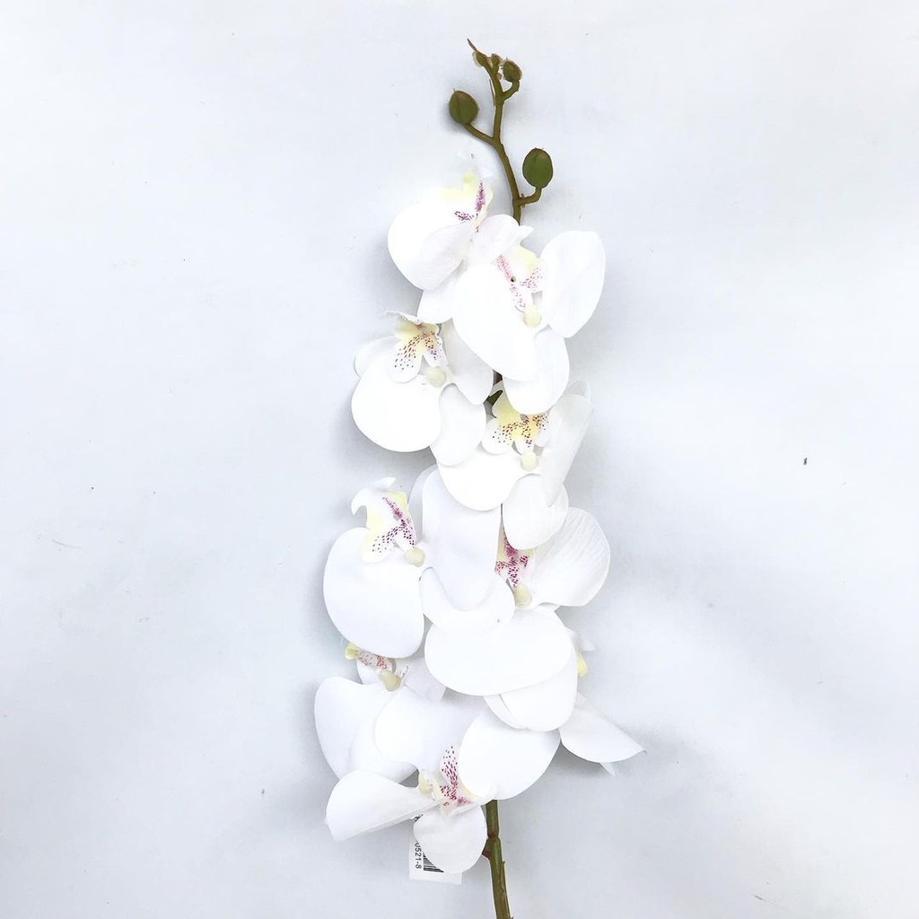 ANGGREK LATEX ORCHID X1 panjang 1 meter -  bunga plastik artificial home decor shabby chic-Putih bintik