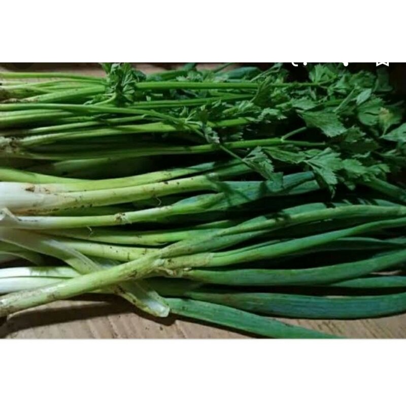 

Daun bawang segar250gr