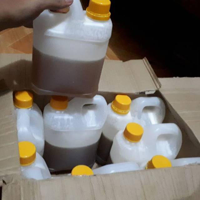 

Madu Hutan Asli Kapuas Hulu