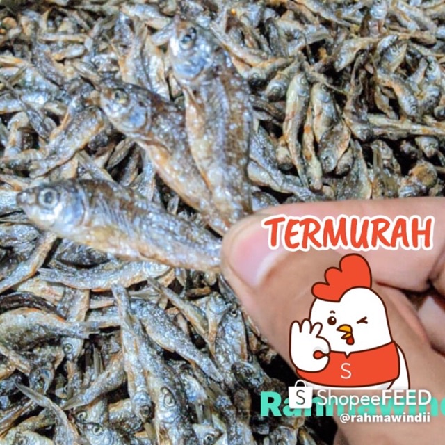 

IKAN BILIH 500 Gram