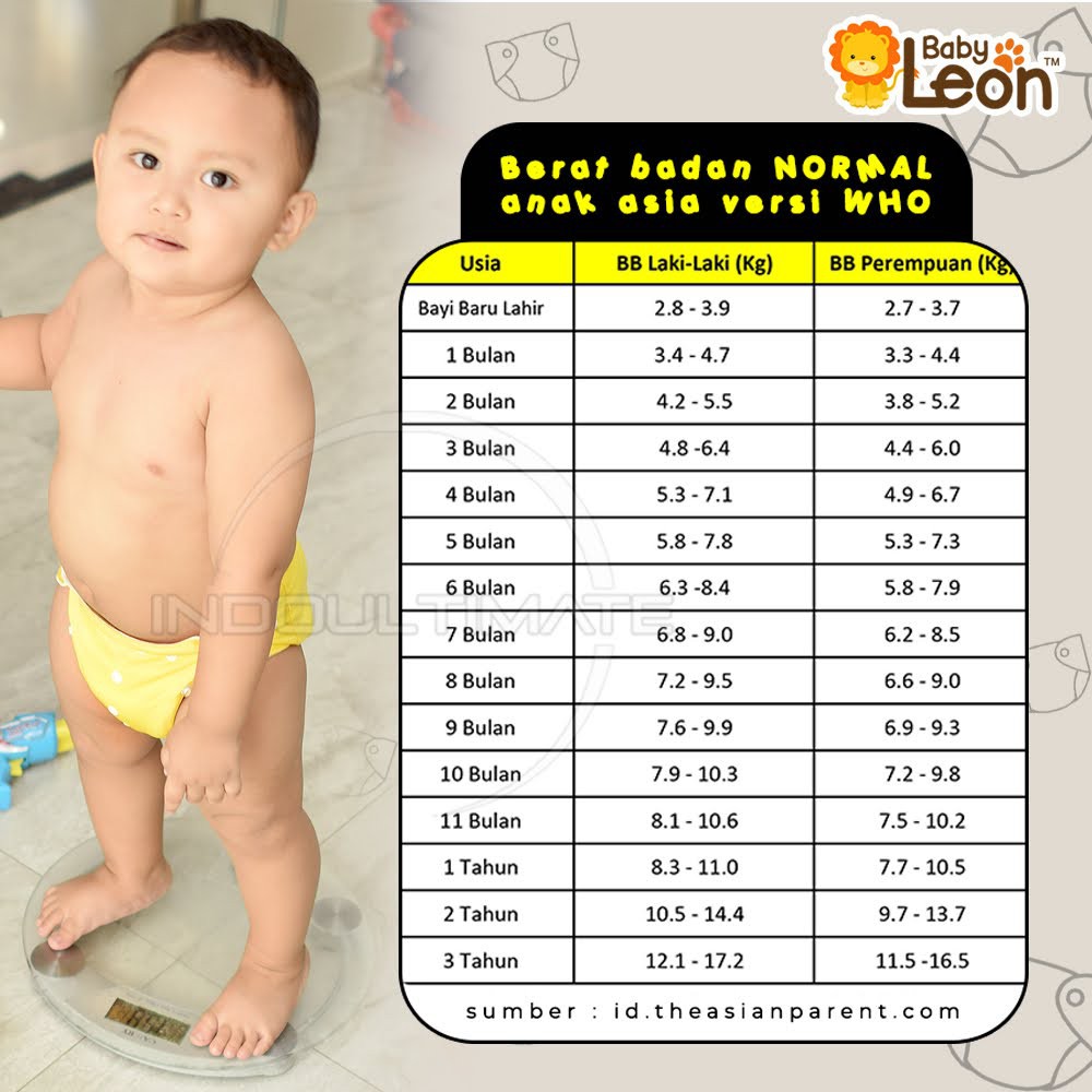 BABY LEON Popok Bayi Size XL 1pcs BY-72 FREE INSERT Clodi Kain Cuci Ulang Newborn