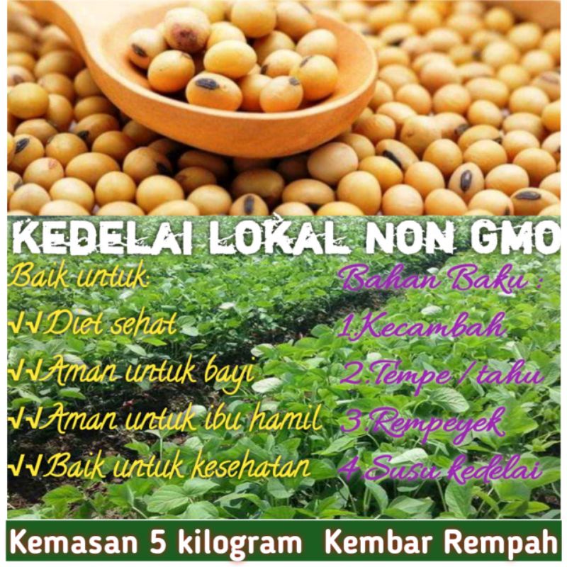 

Kacang kedelai lokal putih 5 kg