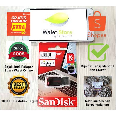 Flashdisk Suara Walet Panggil Birahi