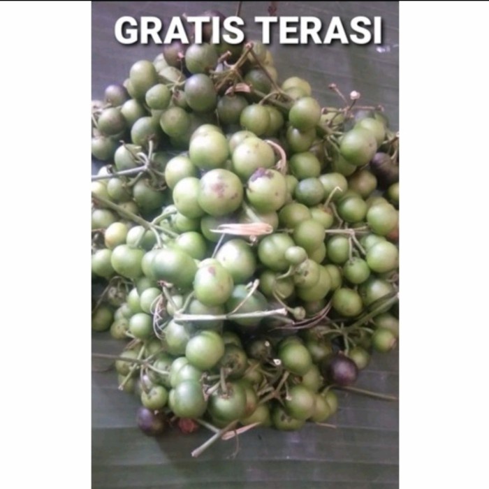 

PROMO Leunca 1 kg GRATIS terasi Khas Cirebon