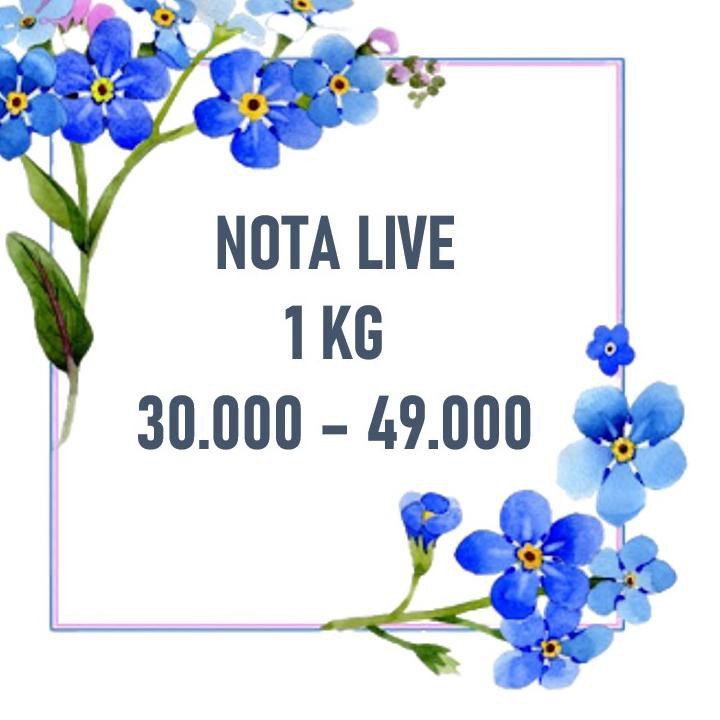 

Paling Disukai<<<stz-501 NOTA LIVE 1 KG 30-49rb