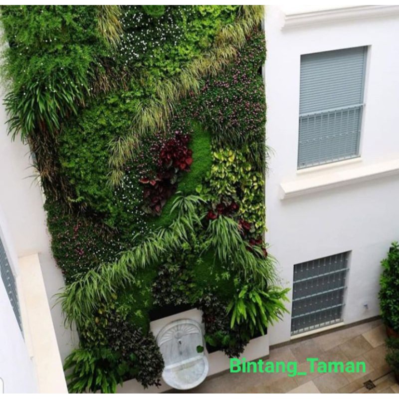Jasa pembuatan vertical garden - Tukang taman vertikal