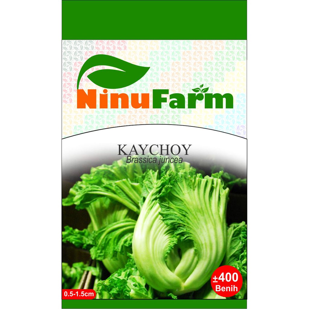 Benih Kaychoy/Headed Mustard Jabung Sawi Pahit 400Seeds