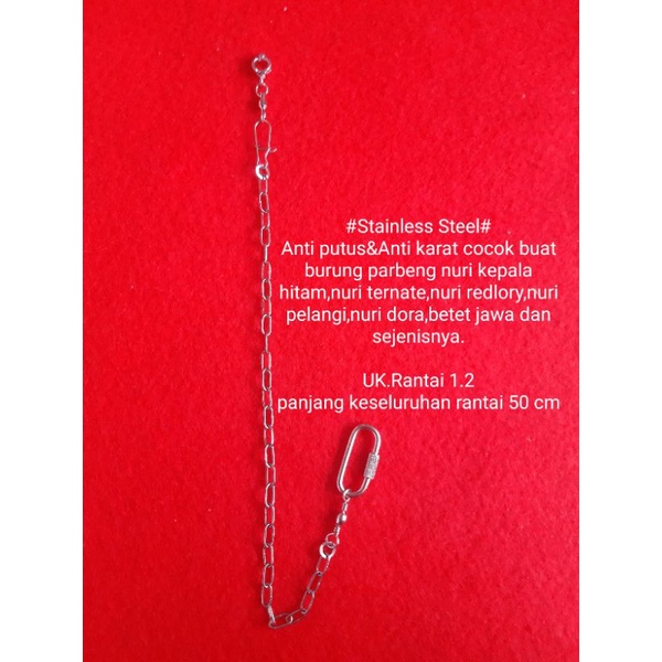 full set rantai burung nuri stainless steel.