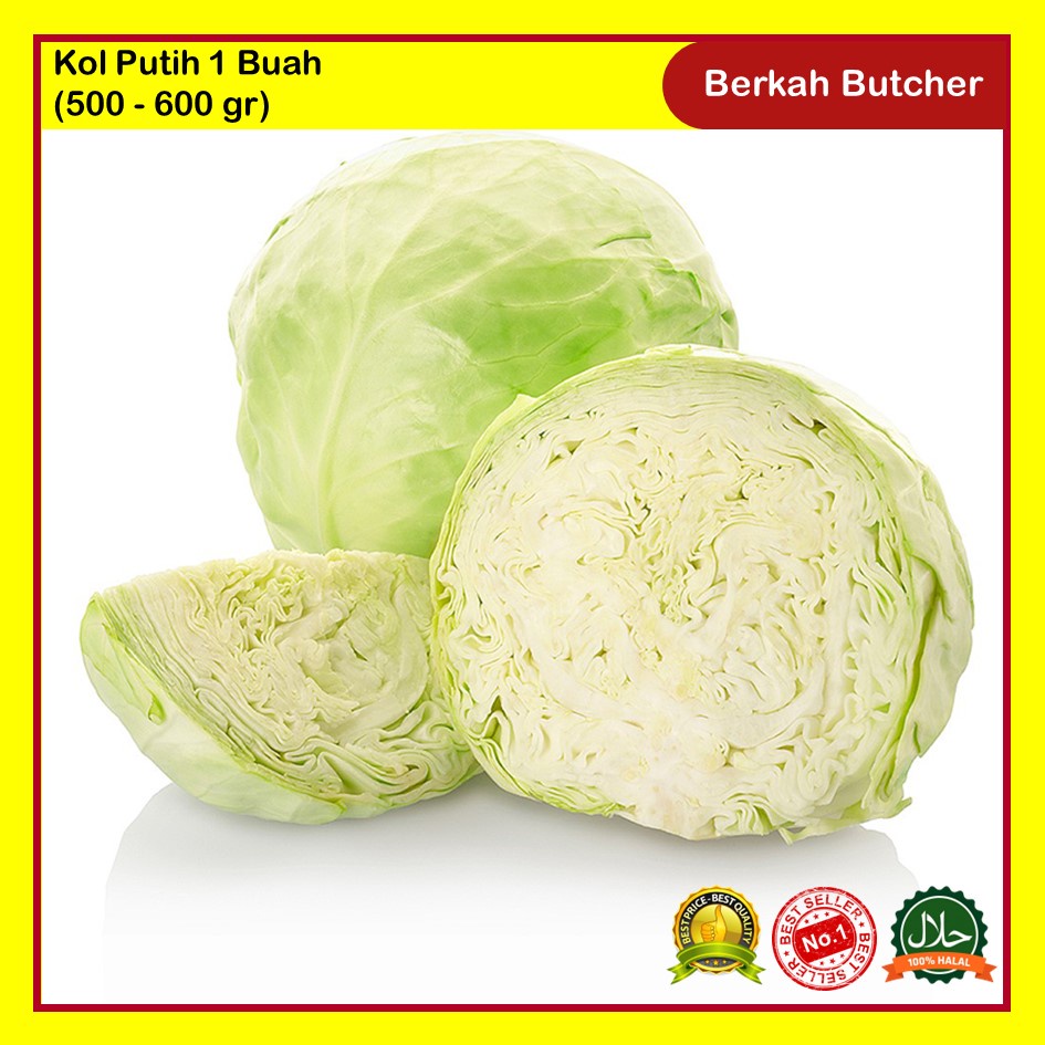 kol Putih Segar 1 Buah (500 - 600 gr) Berkah Butcher