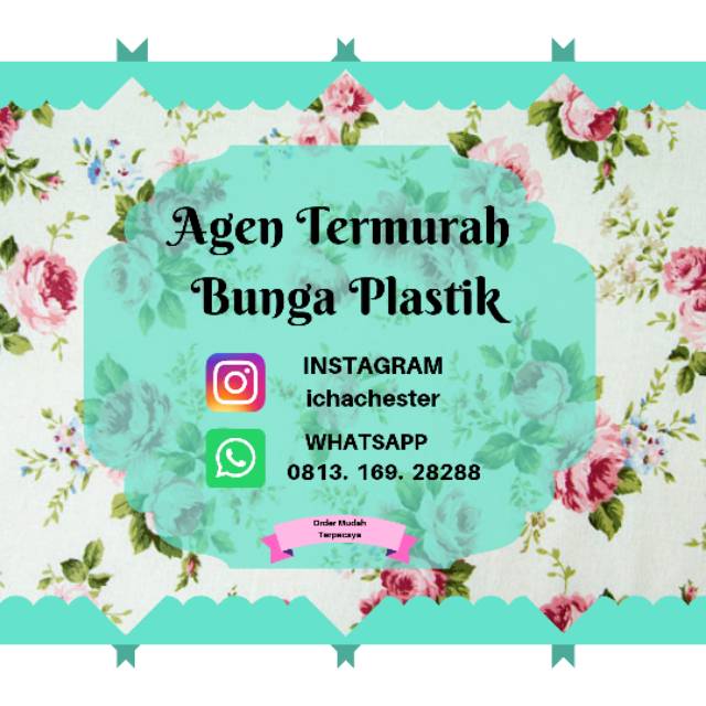 Ichachester store logo