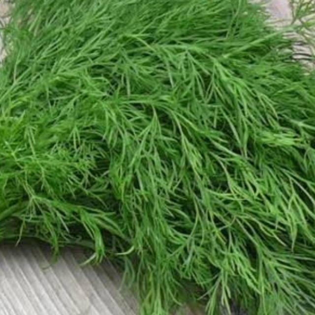 

Daun diil 500gram/ 1000gram